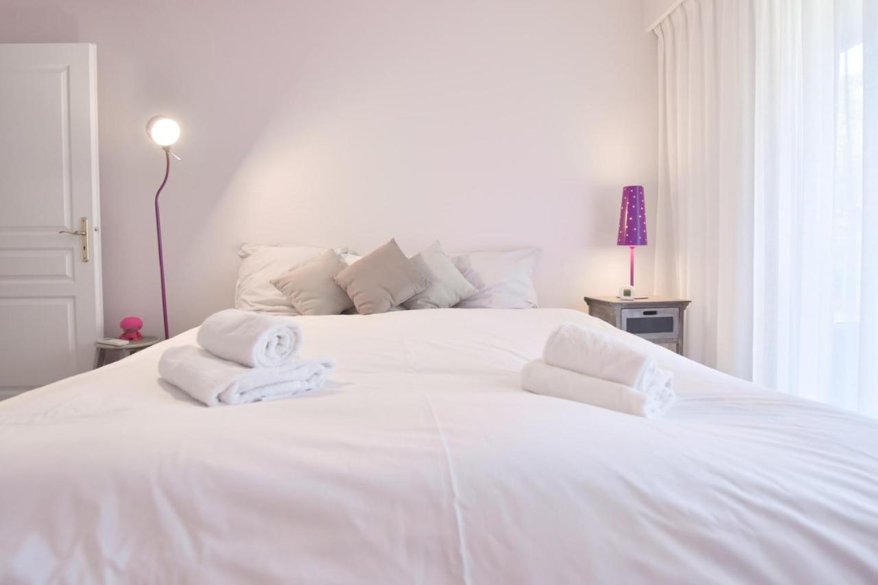 2-br With Pool & Garage - 10 Min Walk To Center Cannes